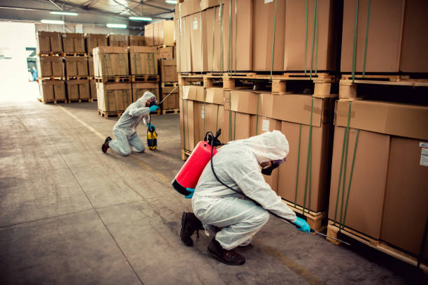 Best Pest Control Near Me in Long Beach, MD