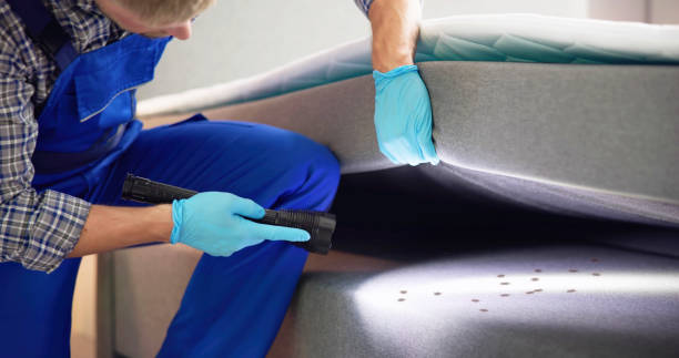 Best Pest Prevention Services  in Long Beach, MD