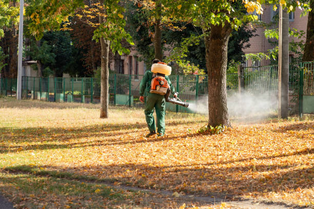 Best Emergency Pest Control  in Long Beach, MD