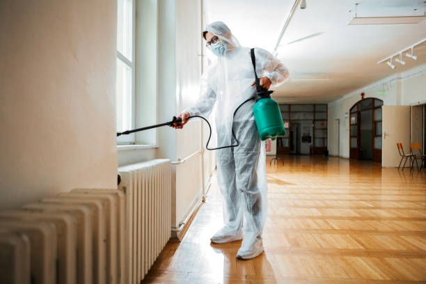 Best Flea Control Services  in Long Beach, MD