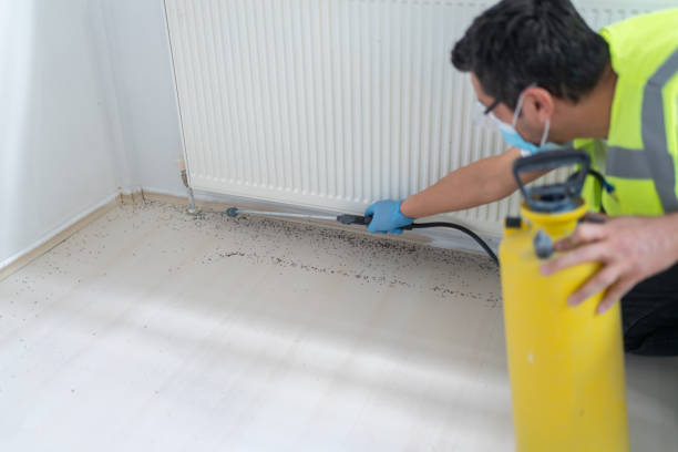 Best Commercial Pest Control Services  in Long Beach, MD