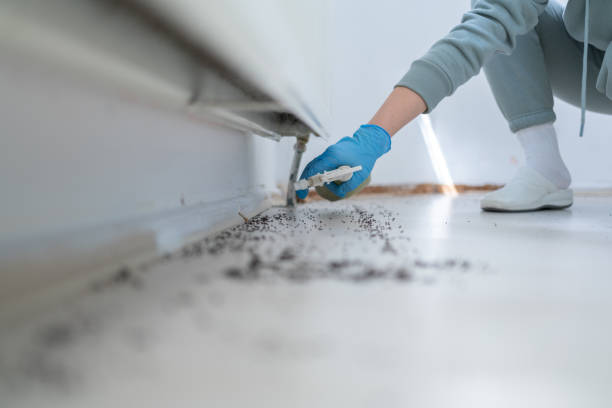 Best Bed Bug Extermination  in Long Beach, MD