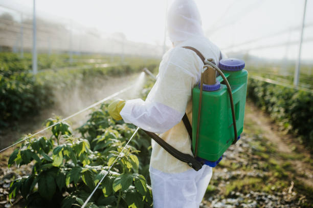 Long Beach, MD Pest Control Company